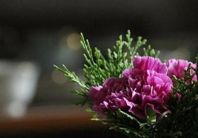 虫师经典语录(汇总12句)