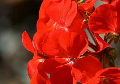 荒原狼经典语录(汇总80句)