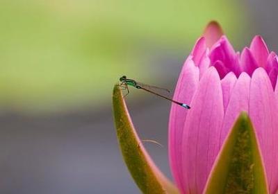 西游降魔篇经典语录(优选50句)