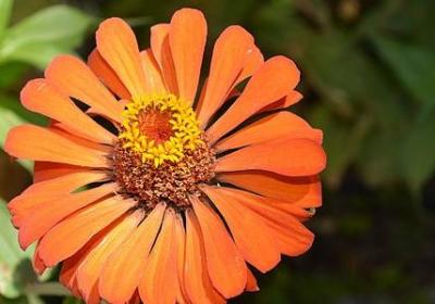 许知远经典语录(合集40句)