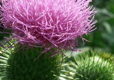 表白孩子的经典语录(通用50句)