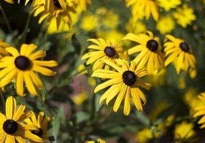 血色浪漫经典语录(共60句)