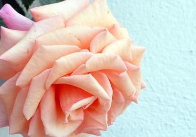 赞美高跟鞋的经典语录(推荐40句)