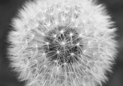 记得经典语录(实用77句)