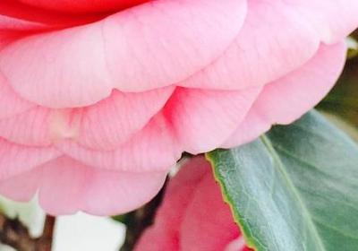 说人没素质的经典语录(共50句)