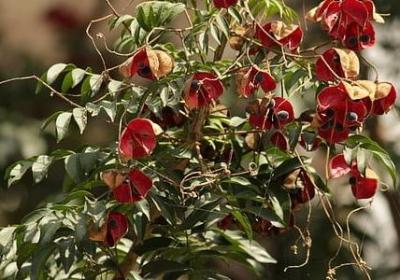 英雄联盟经典语录短句(实用138句)