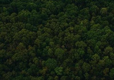 讨厌说谎的人经典语录(必备60句)