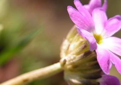 跆拳道经典语录(精选39句)