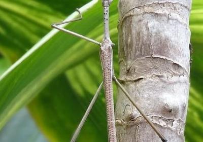 路遥人生小说经典语录(通用50句)