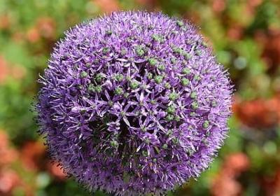 赛文奥特曼经典语录(汇总20句)