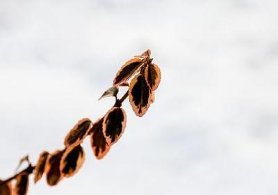 说说签名经典语录(热门80句)