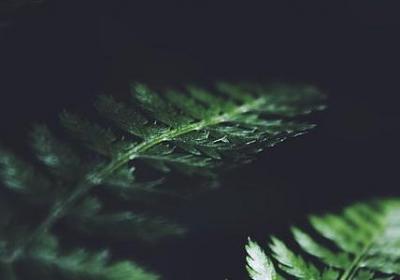 藤缠树经典语录(热门80句)