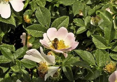 赞美医生的经典语录(70句)