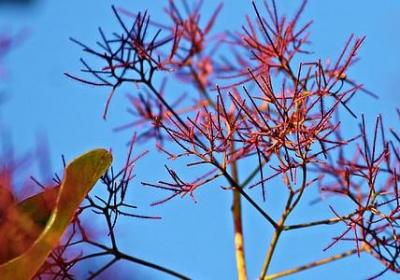 贵有贵的道理经典语录(优选69句)