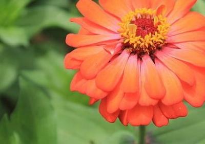 说婆婆的经典语录(共60句)