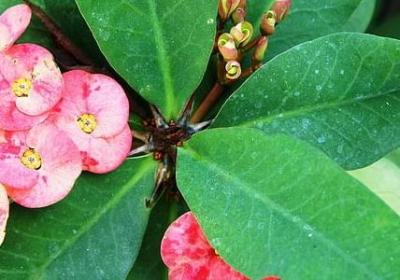 赵云经典语录(优选69句)