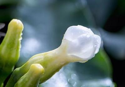 走向共和经典语录(优选20句)