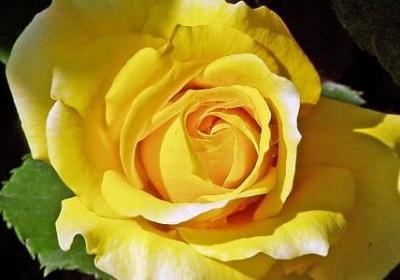 花千骨经典语录100句(实用90句)