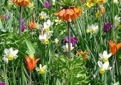 越长大越孤单经典语录(热门60句)