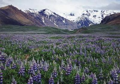 赞扬司机的经典语录(80句)