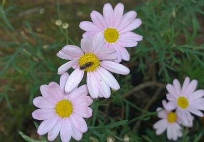 褪去稚气的经典语录(热门70句)