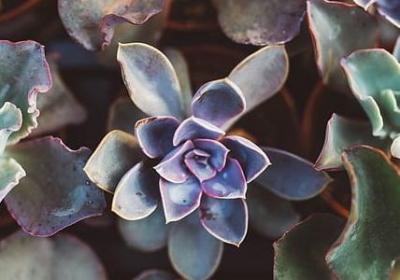 落难时候的经典语录(80句)