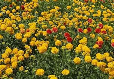 踏入社会的经典语录(推荐40句)