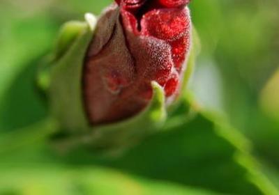 苏格拉底经典语录(精选20句)