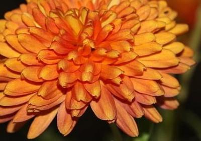 英雄联盟英雄经典语录(通用69句)