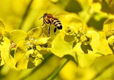 苏芩经典语录(热门50句)