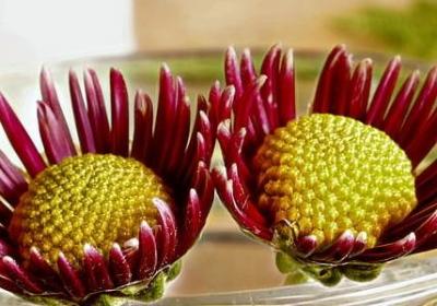 谢谢你的句子经典语录(必备70句)