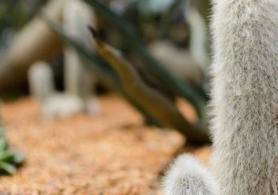 读书与旅行经典语录(合集20句)