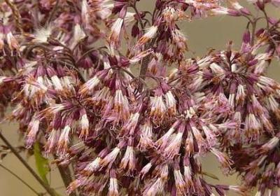 英雄联盟语录经典语录(80句)