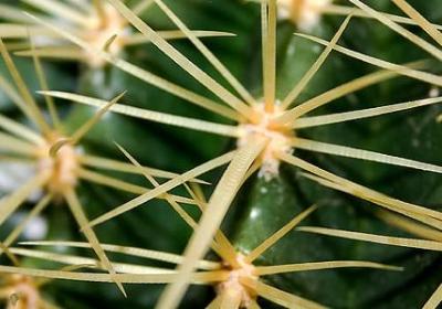 萧炎的经典语录(必备40句)