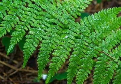 蔡康永奇葩说经典语录(必备10句)