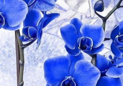 莫言经典语录50条精选(通用40句)