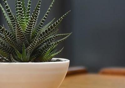 蝙蝠侠经典语录(热门79句)