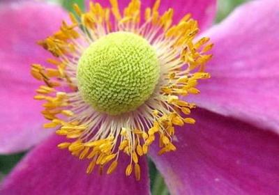 跳伞经典语录(优选20句)