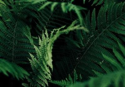 赞美老师的经典语录(实用50句)