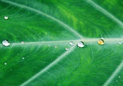 表达谢谢的经典语录(汇总90句)