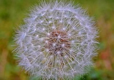 贝尔摩德经典语录(合集20句)