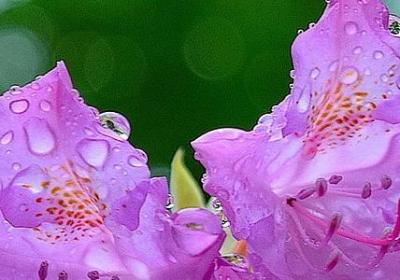 贺涵经典语录(必备40句)