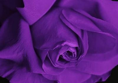 蔡澜经典语录(推荐80句)