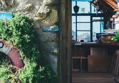 艺伎回忆录经典语录(通用40句)