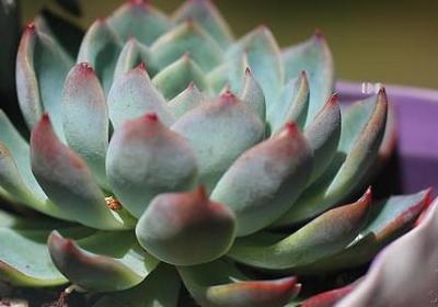 好莱坞励志电影(共60句)