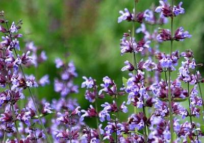 路遥人生经典语录(推荐50句)