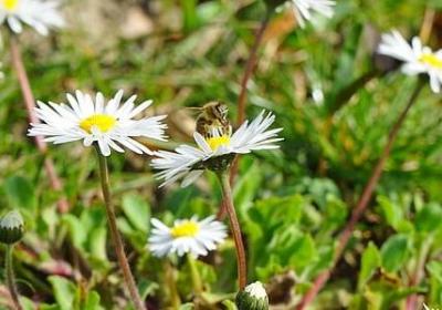 认清自己的经典语录(60句)