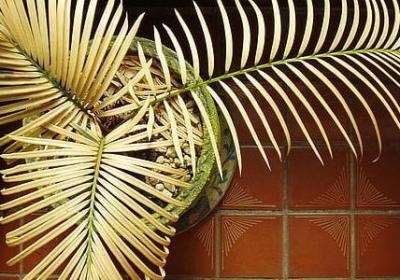 路遥 人生 经典语录(实用40句)