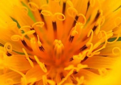 诚招合伙人经典语录(必备90句)