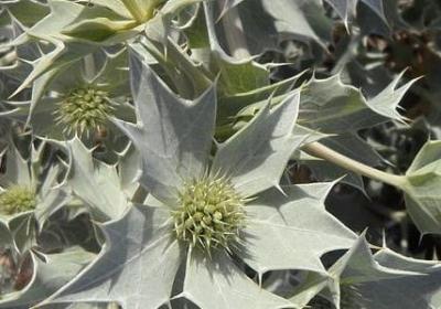 谢尔顿经典语录(汇总20句)